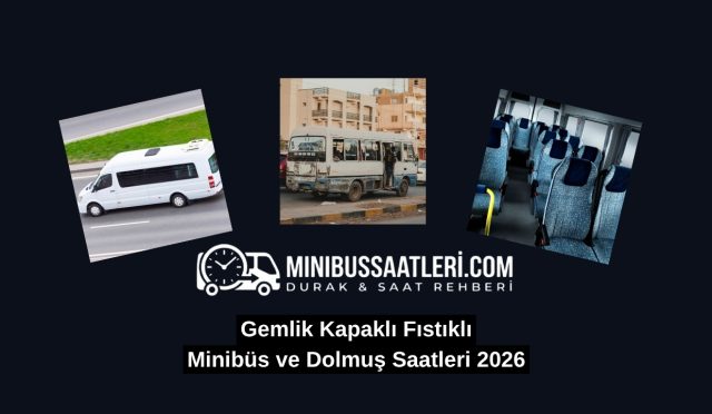 Gemlik Kapaklı Fıstıklı Minibüs